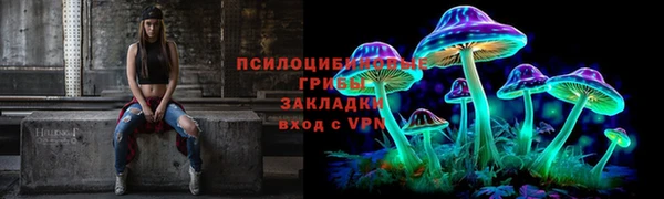 шишки Арсеньев