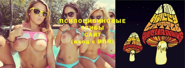 стафф Абинск