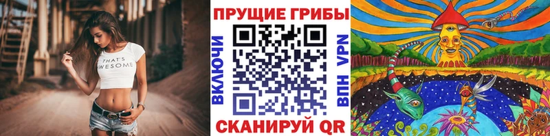 где продают   Симферополь  Галлюциногенные грибы Psilocybe 