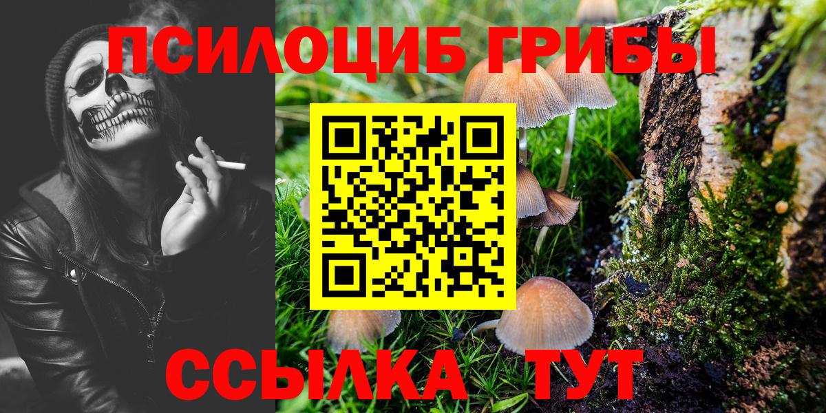 Симферополь  Псилоцибиновые грибы прущие грибы  Вход с VPN 